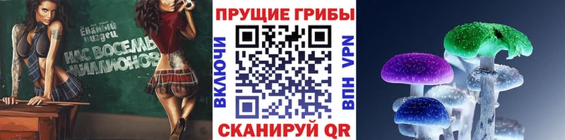 Псилоцибиновые грибы прущие грибы Цоци-Юрт